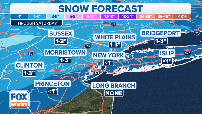 Potential snow totals in the New York City metro through Saturday.