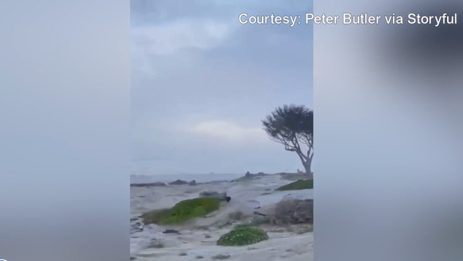Water rushes onto a Pebble Beach golf course. 