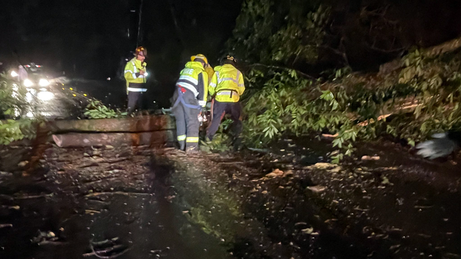 An image showing crews working to remove a tree that fell across the roadway in Sonoma County, California.