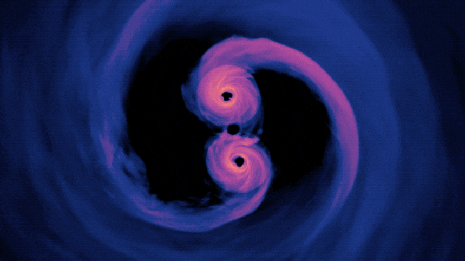 Gas glows brightly in this computer simulation of supermassive black holes only 40 orbits from merging.