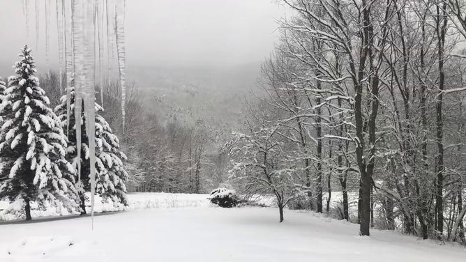 An image showing snow falling in Waterbury, Vermont, on Monday morning.