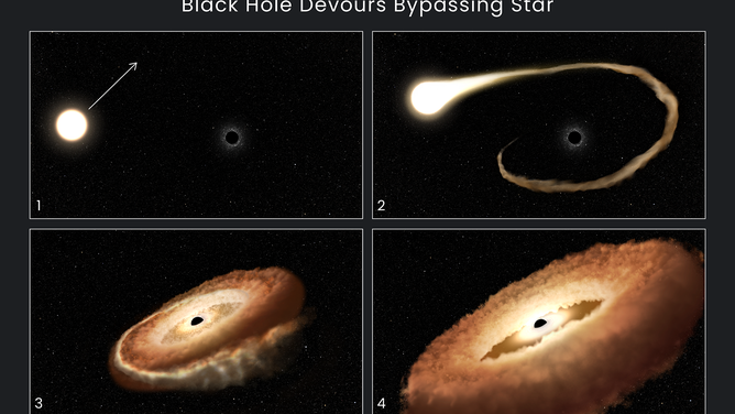 This sequence of artist's illustrations shows how a black hole can devour a bypassing star. 1. A normal star passes near a supermassive black hole in the center of a galaxy. 2. The star's outer gasses are pulled into the black hole's gravitational field. 3. The star is shredded as tidal forces pull it apart. 4. The stellar remnants are pulled into a donut-shaped ring around the black hole, and will eventually fall into the black hole, unleashing a tremendous amount of light and high-energy radiation.