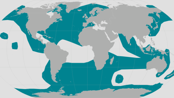 Killer whale range map
