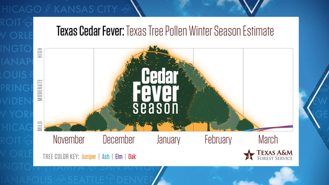 Texas pollen levels