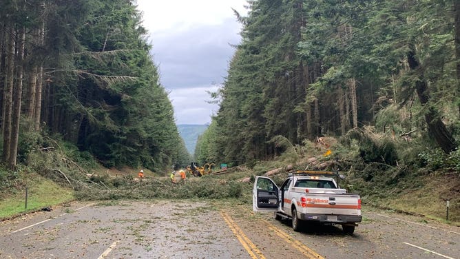 Trees fall on US 101 in Humboldt County, CA