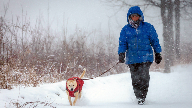 FILE - A woman walks her dog during a heavy snowstorm in St. Paul, Minnesota.