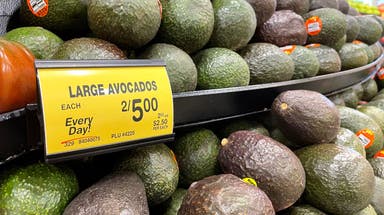 Don’t hold the guac: California’s avocado industry poised to take advantage of winter’s historic rains