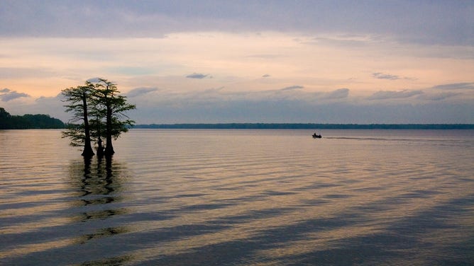 Reelfoot Lake in northwest Tennessee.