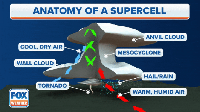 The anatomy of a supercell. Of all the storm types, supercell thunderstorms, or supercells, are most likely to produce severe weather, such as powerful wind, large hail and weak-to-violent tornadoes.