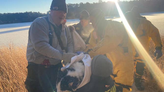 "Dakota" the dog was rescued from a frozen pond in Wareham, Massachusetts.