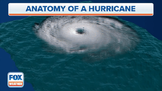An animation showing the anatomy of a hurricane.