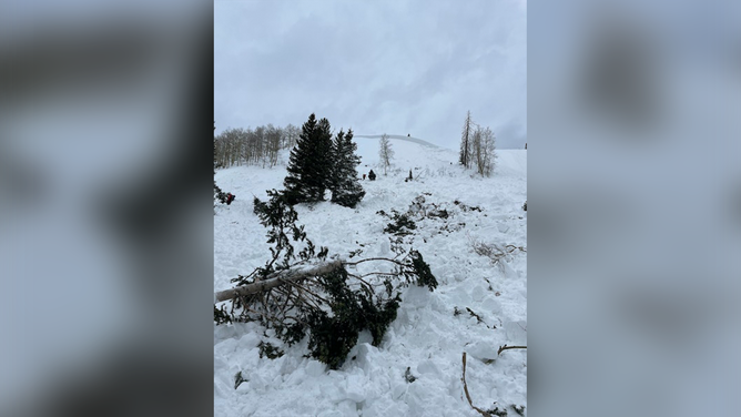 A snowmobiler died in an avalanche in Colorado on Saturday, Feb. 25, 2023.A snowmobiler died in an avalanche in Colorado on Saturday, Feb. 25, 2023.
