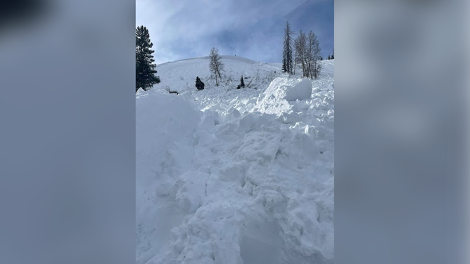 A snowmobiler died in an avalanche in Colorado on Saturday, Feb. 25, 2023.