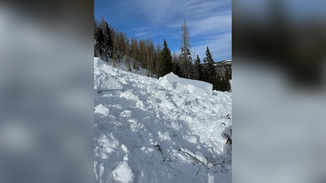 A snowmobiler died in an avalanche on Saturday, Feb. 25, 2023.