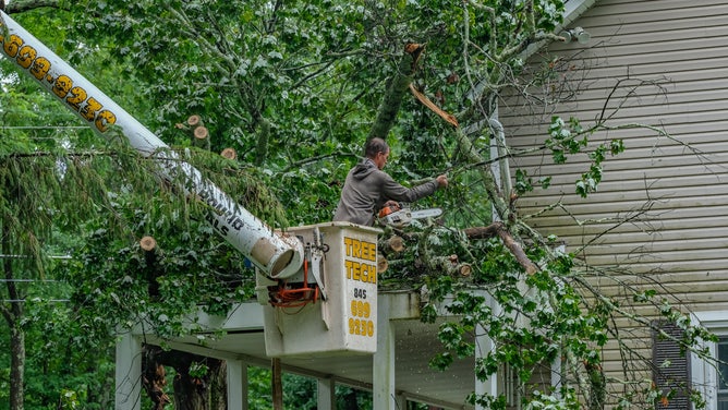 A worker removes a tree that fell on a house in Milford, Pennsylvania on July 9, 2021.