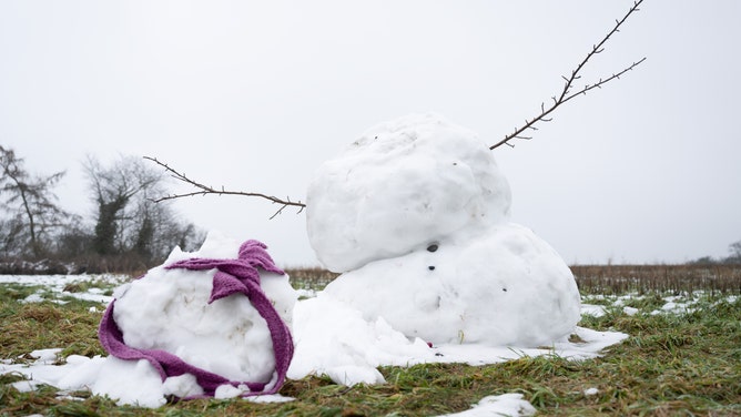 A snowman melts on a meadow.