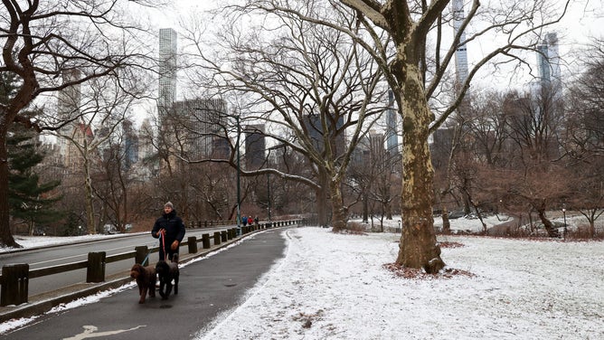 Grassy areas are partially covered with snow powder early Wednesday, Feb. 1, 2023, in Central Park, New York City.