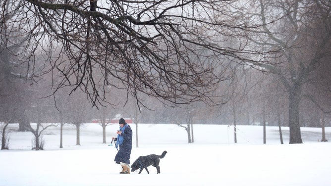 CHICAGO, ILLINOIS - JANUARY 25: A woman walks her dog across a snow-covered field in Humboldt Park on January 25, 2023 in Chicago, Illinois. The dog bends down to smell the freshly fallen snow. 
