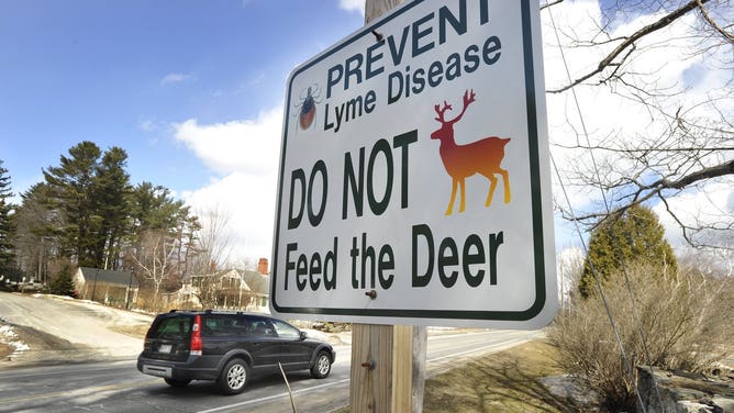Sign warning passersby against feeding deer.
