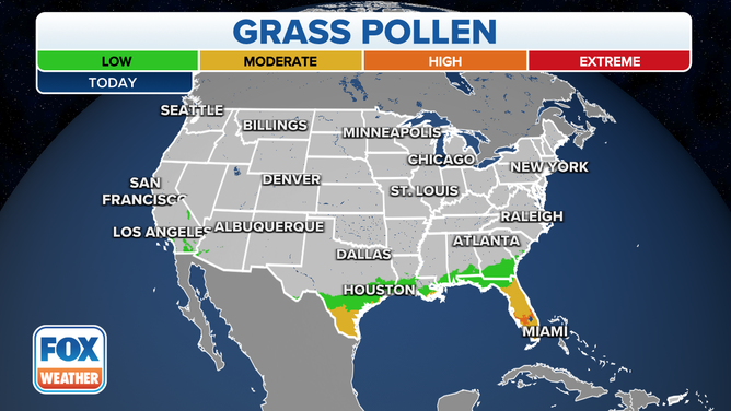 grass pollen map