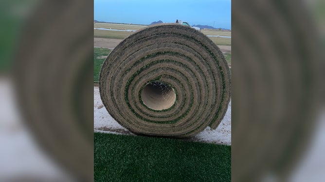 How the home of the Fiesta Bowl puts a spin on the classic grass field