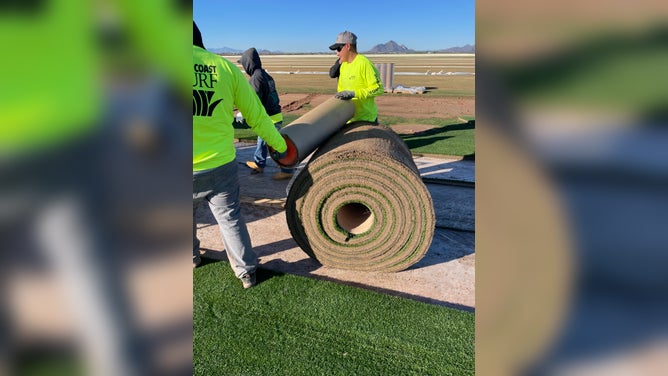 Super Bowl LVII: How the NFL prepared grass turf in the desert