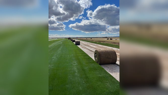 How the home of the Fiesta Bowl puts a spin on the classic grass field