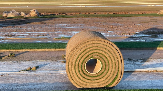 FANTASTIC! IT'S SUPERBOWL WEEK! State Farm Stadium Update! Natural Grass  Field Tray, End Zone, Food 