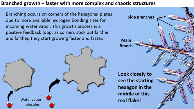 How the hexagonal shape of an ice crystal lays the foundation for six-sided snowflakes.