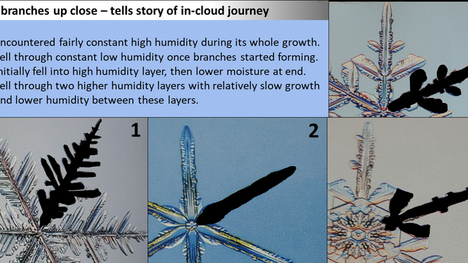 Different atmospheric conditions create different shapes