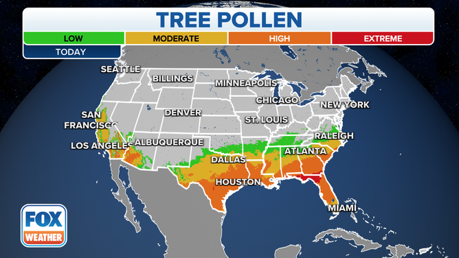 tree pollen map