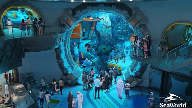 SeaWorld Abu Dhabi Aquarium Observation Deck
