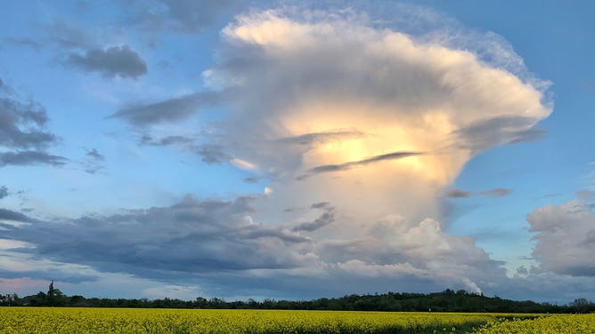 A cumulonimbus cloud.
