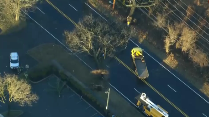 Severe storm damage in New Jersey
