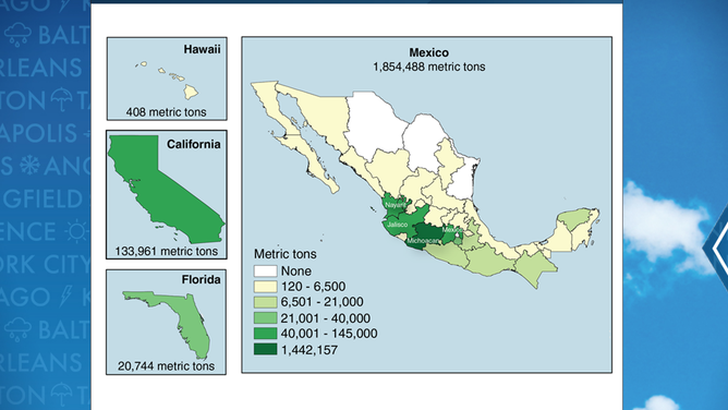 Avocado production 2018