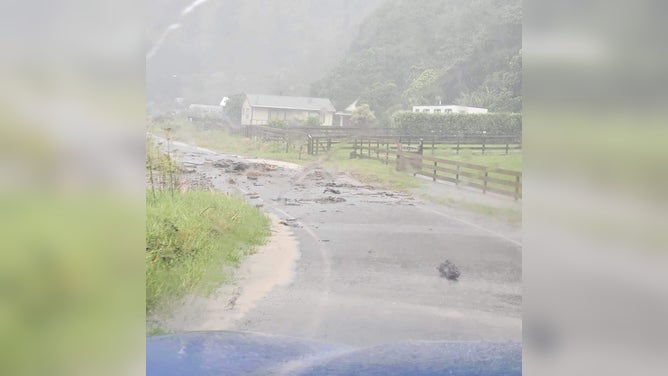 Cyclone Gabrielle Flooding New Zealand