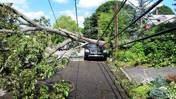 A fallen tree snapped a utility pole, took down wires, and crushed a car on Grandview Street in Huntington, New York on Aug. 5, 2020.