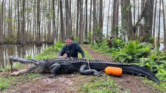 worlds largest crocodile ever caught