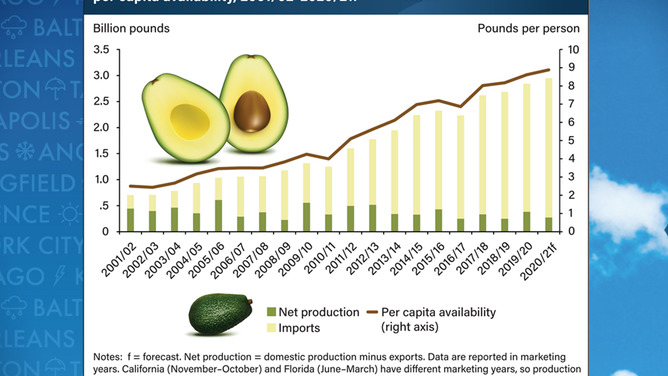 Avocado production trend