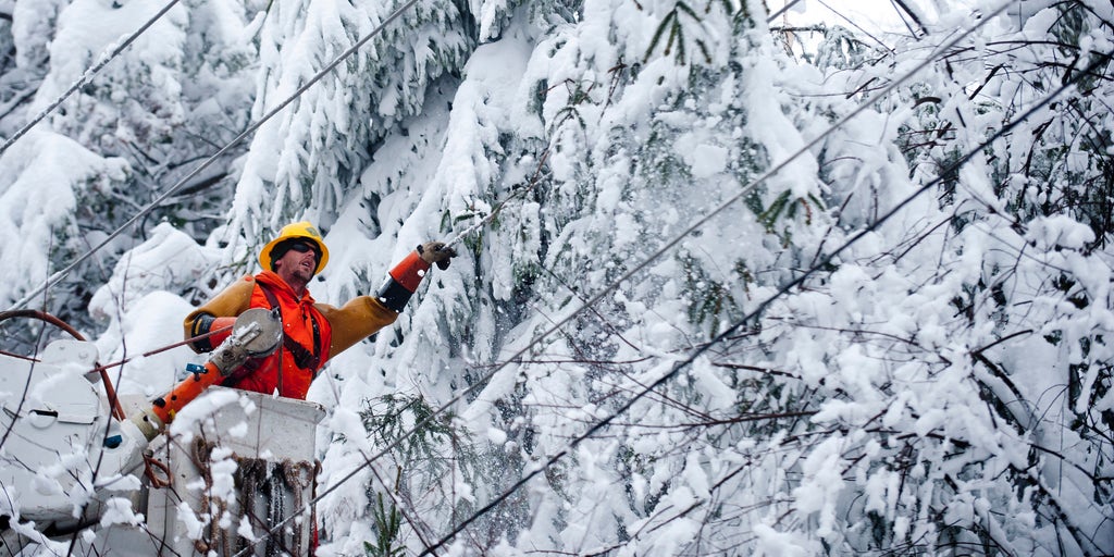 Why Are Power Outages More Likely With This Week S Nor Easter Fox   GettyImages 155065582 Copy 