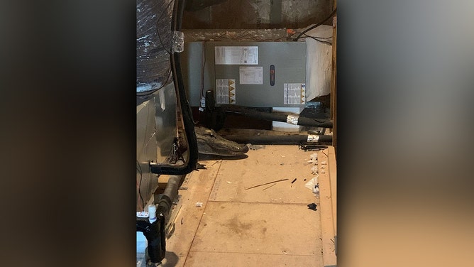8-foot alligator found in attic during home inspection