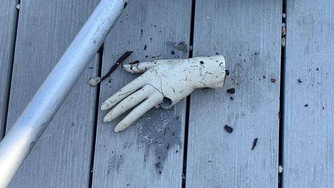 Fisherman finds hand at the bottom of Florida canal