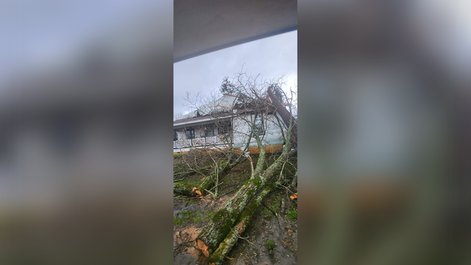 Damage from an EF-2 tornado is seen in Kirby, Arkansas, on March 2.