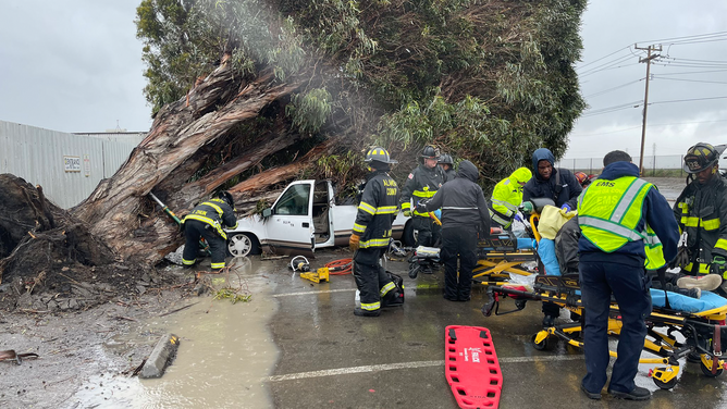 Crews work to help the driver of a car when a tree fell on top of it during strong winds and heave rain in Alameda County, California.