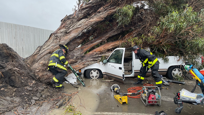 Crews work to help the driver of a car when a tree fell on top of it during strong winds and heave rain in Alameda County, California.