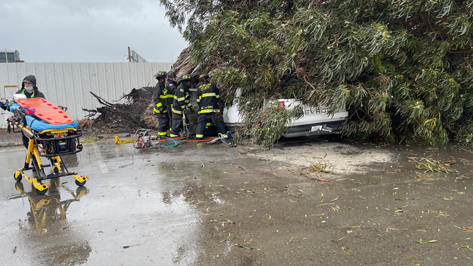 Crews work to help the driver of a car when a tree fell on top of it during strong winds and heave rain in Alameda County, California.