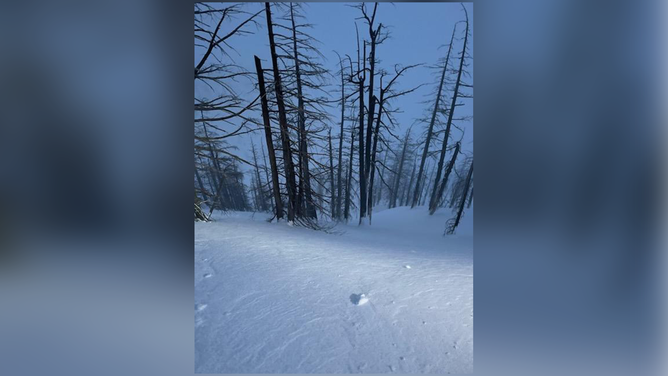 A skier from Bend, Oregon, was killed Thursday after getting buried by an avalanche.