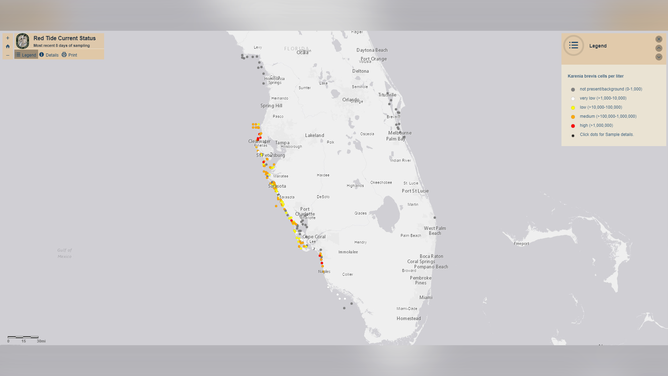 Current red tide samplings in Florida.