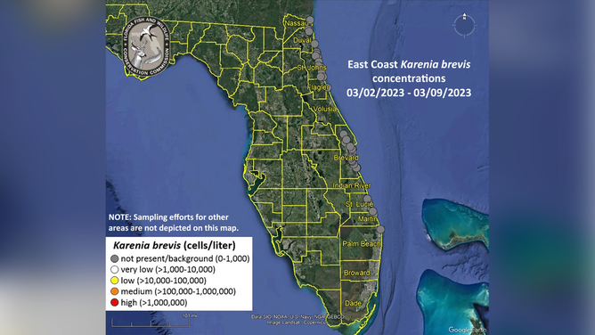 Red tide concentrations along Florida's east coast from March 2 - March 9.