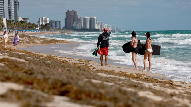 Large Algae Bloom In Atlantic Ocean Makes Way To Florida Beaches